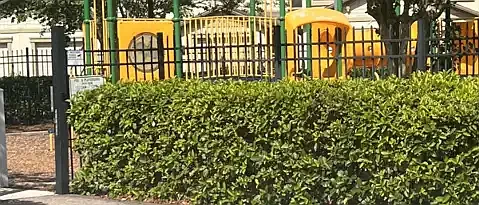 4824 Playschool Dr — Photo 28