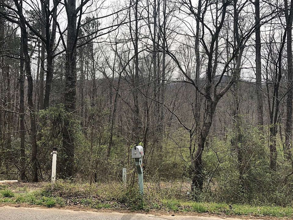 2nd image of 2243 Mount Pleasant Church Rd #R