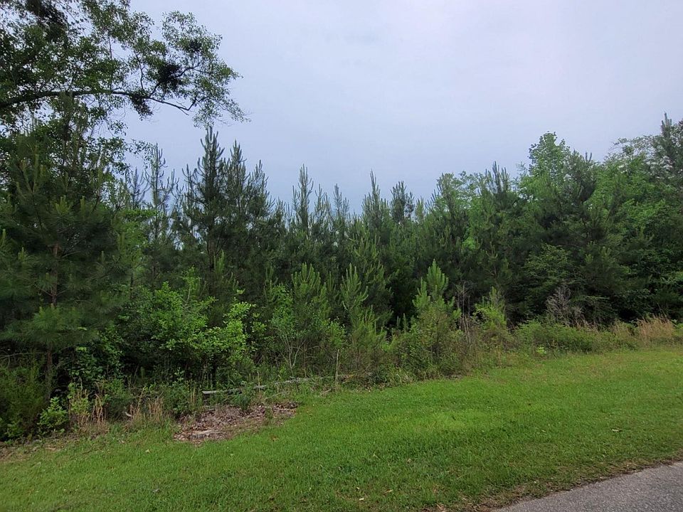 2nd image of 0 Peterson Ln