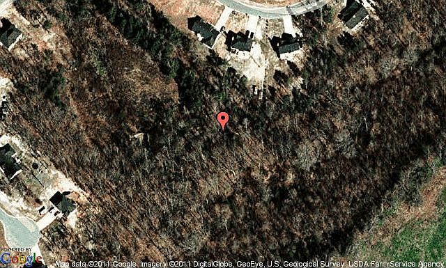 Map View
