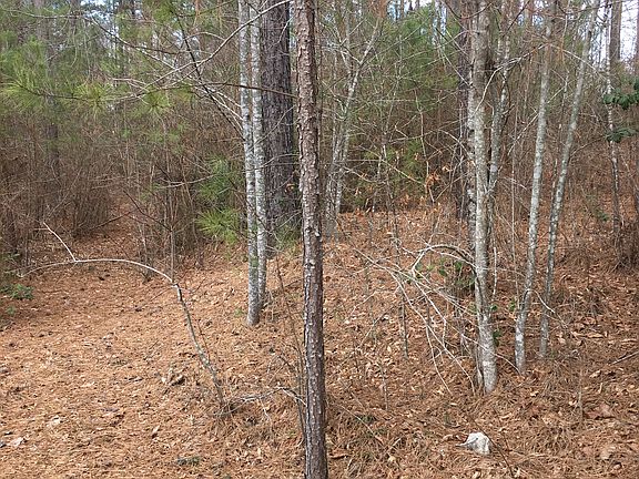 2nd image of 5521 Bridgewater Dr #234