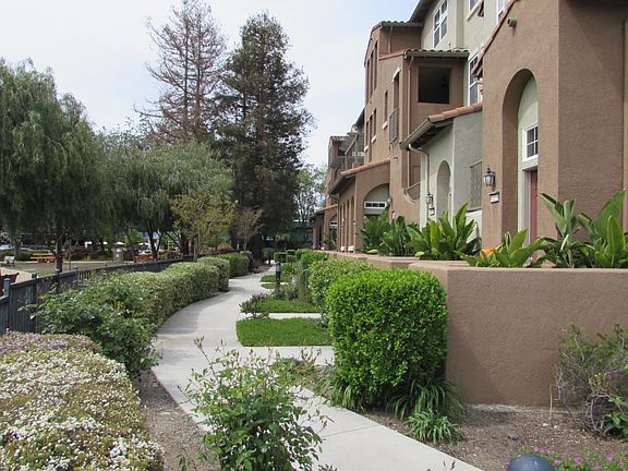 Walkway to front door