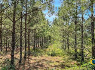 Moores Chapel Rd, Mauk, GA 31058