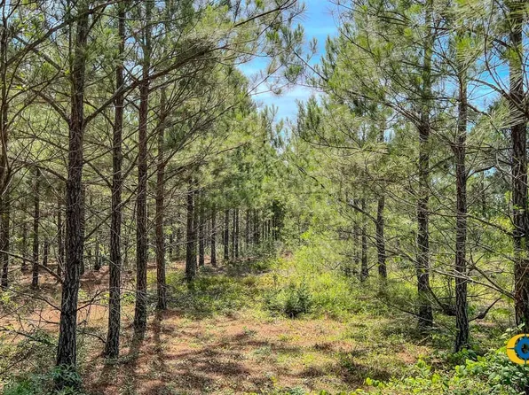 Moores Chapel Rd, Mauk, GA 31058