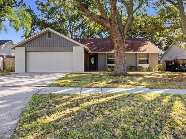 15009 Naples Pl, Tampa, FL 33624