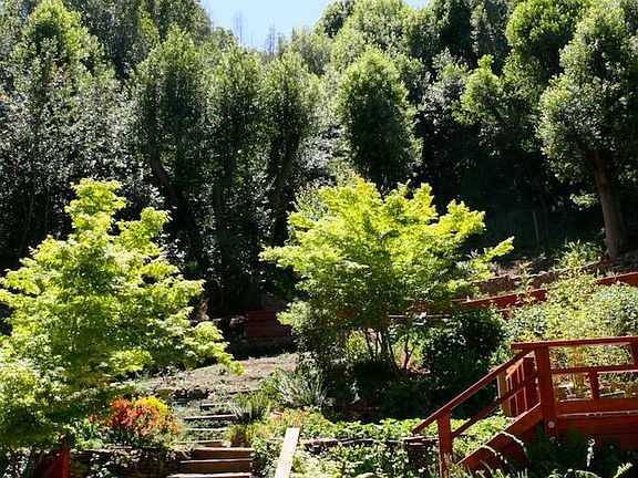 Terraced rear yard