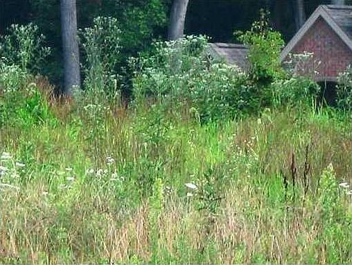 5th image of 530 Arden Dr