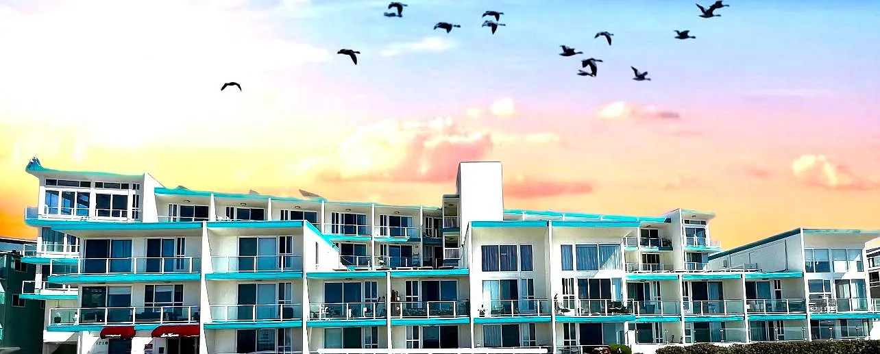 Sea Haven — Photo 1
