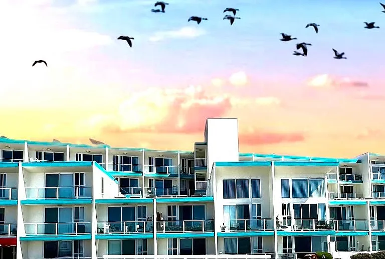 Sea Haven — Photo 1