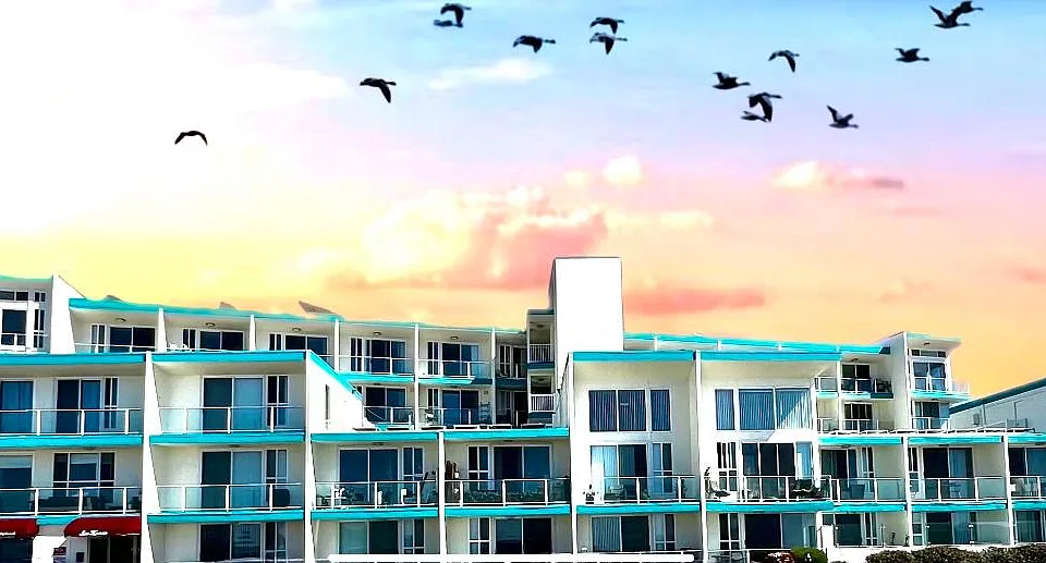 Sea Haven