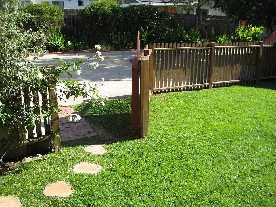 Back yard