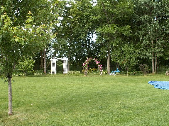 view from the diningroom