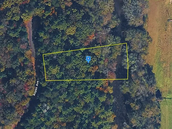 330 Aspen Ave, Ellijay, GA 30536