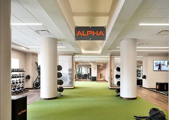 Rented by Bouklis Group | media 4