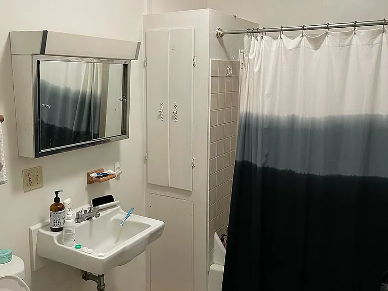 2059 W Belmont Ave #3R — Photo 9