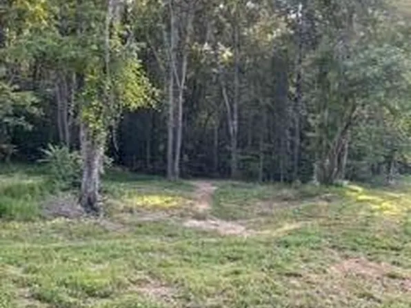 Wells Rd, Powell, TN 37849