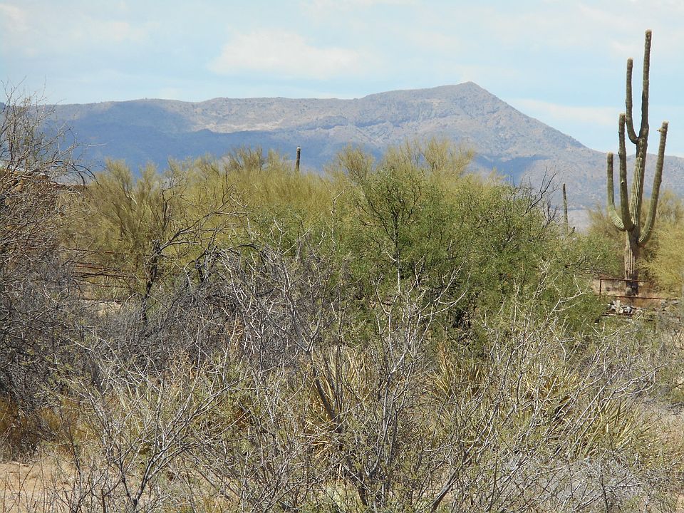 1st image of 35024 N 139th Way