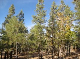 2389 Sioux Ln, Happy Jack, AZ 86024