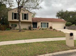 6702 Dunes Ln, Temple Terrace, FL 33617