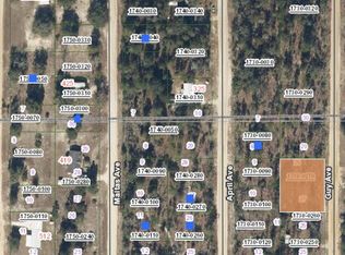 0 Guy Ave #27, Interlachen, FL 32148