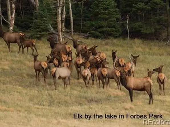 2354 Benton Place LOT 2354, Fort Garland, CO 81133