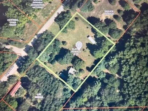 11185 Bayou Ct, Stanwood, MI 49346