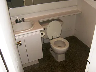 Rented by Sky Management