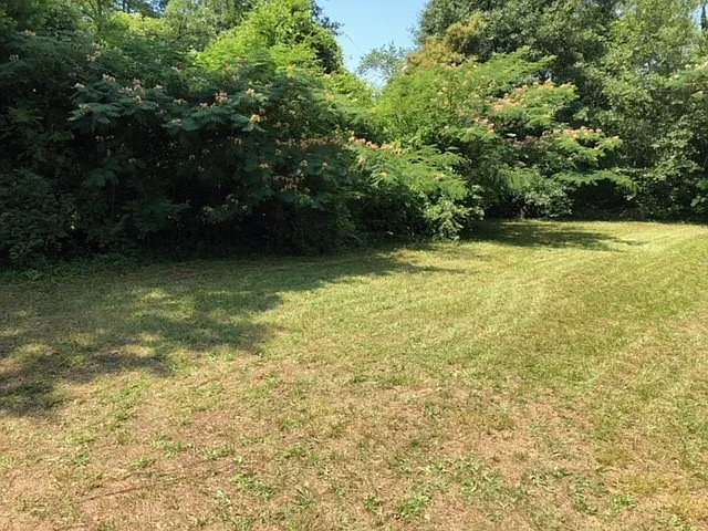 330 Clover St — Photo 20