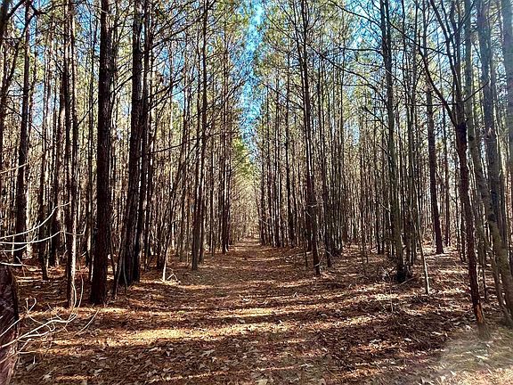 5th image of 0 County Road 134 #1