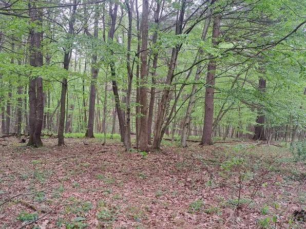 20 Longhorn Rd, Huntingdon, PA 16652