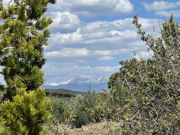 Lot: 2 Road T.5, Dolores, CO 81323