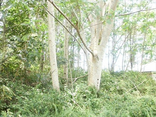 2nd image of 15-726 Kahakai Blvd Lot 19