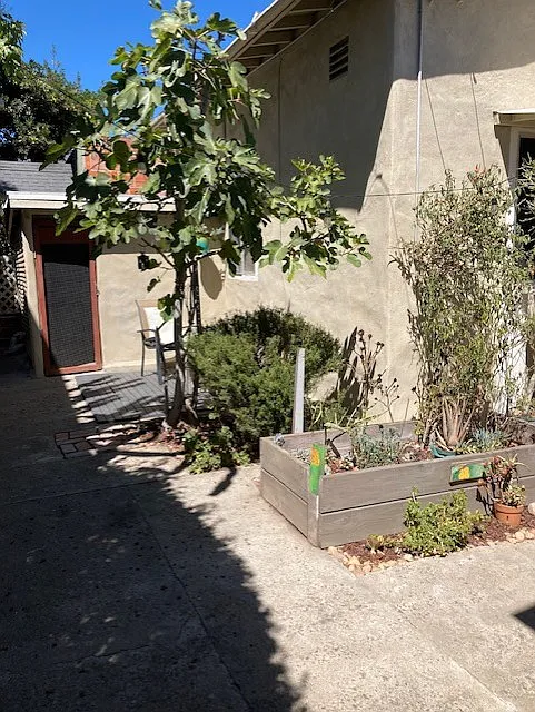 1 bed, 550 sqft, $2,300 — Photo 2