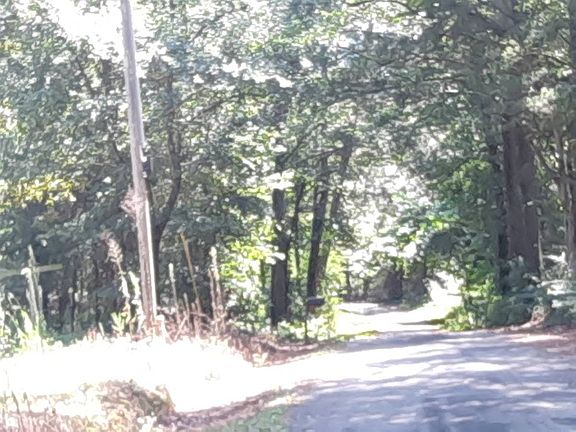 5th image of 202 Zellner Rd