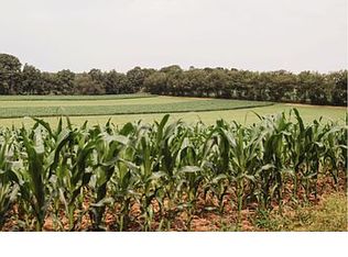 405 Pheasant Farm Rd, New Bethlehem, PA 16242