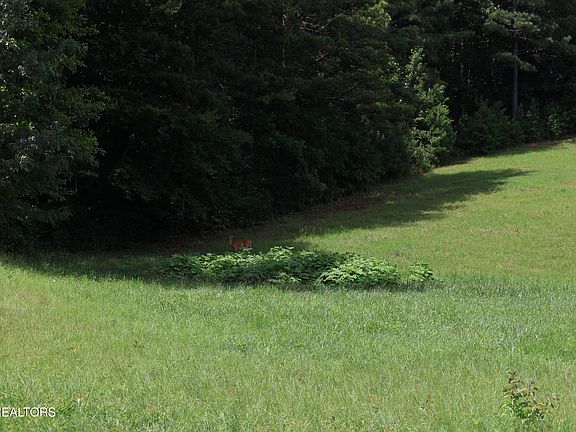 3rd image of 331 Enclave Way