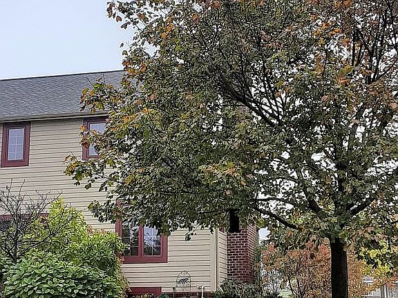 many mature trees and shrubs