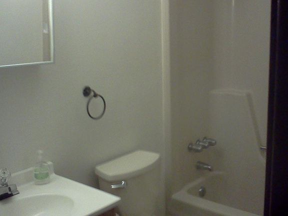 Hall bathroom