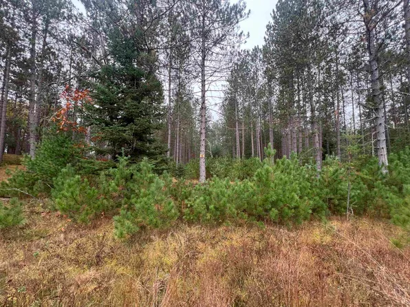 Trout Haven Rd #8, Dunbar, WI 54119