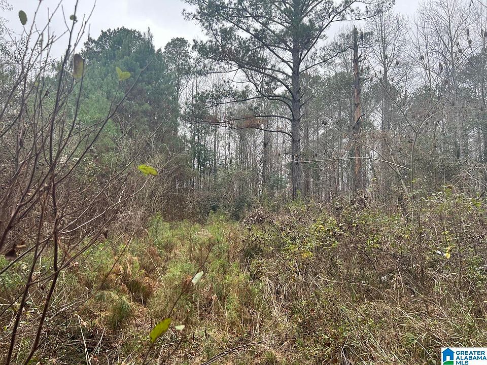 1st image of 0 County Road 384 #0