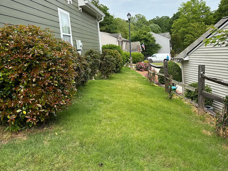 125 Diamond Ridge Avenue, Canton, GA 30114 side view from back yard.
