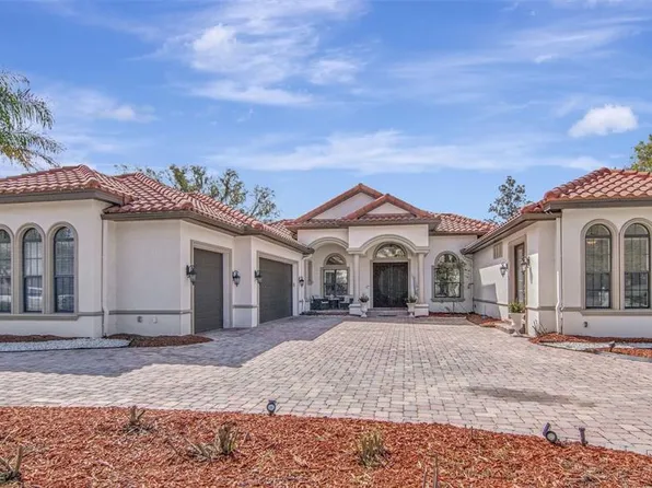 1022 Emerald Creek Dr, Valrico, FL 33596