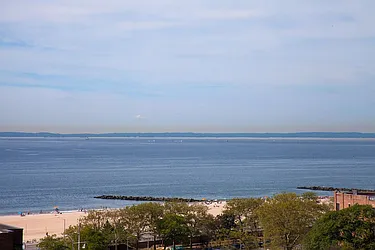 Rented by Bold New York