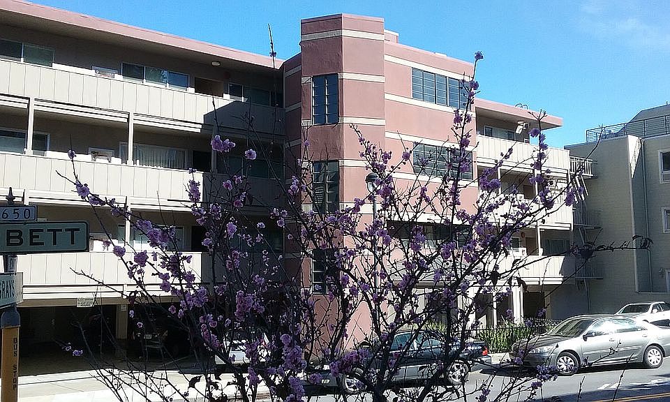 2nd image of 655 Corbett Ave #303