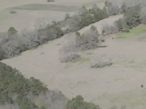 109 Jacks Cir, Lincoln, AL 35096