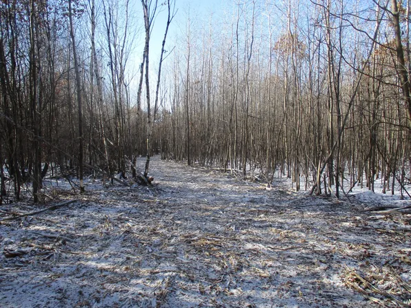 County Highway H, Spooner, WI 54801
