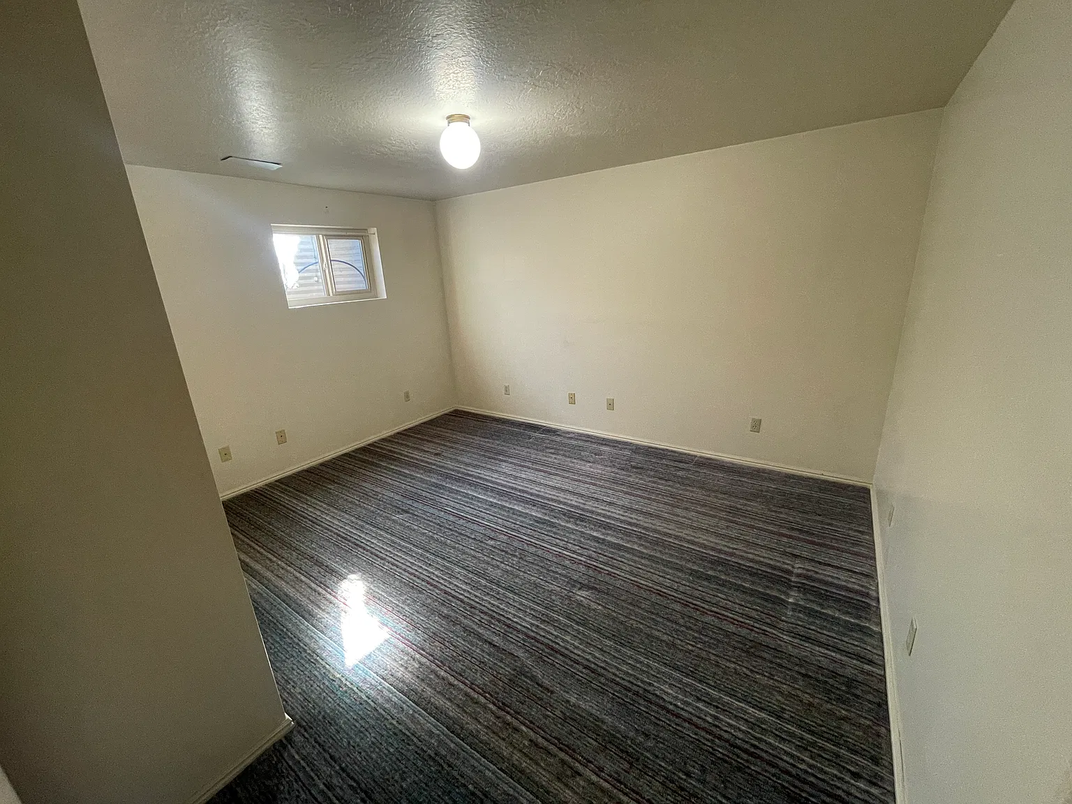 1 bed, 1200 sqft, $1,300 — Photo 3