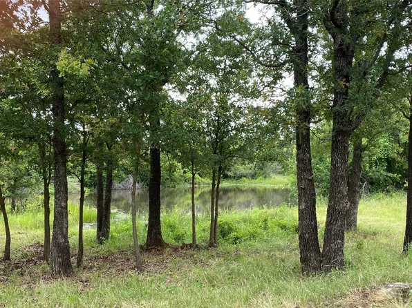 363 Buss West Rd, Loving, TX 76460
