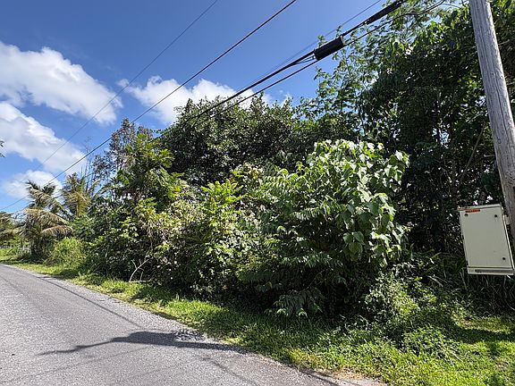 4th image of 6th Ave Lot 2247