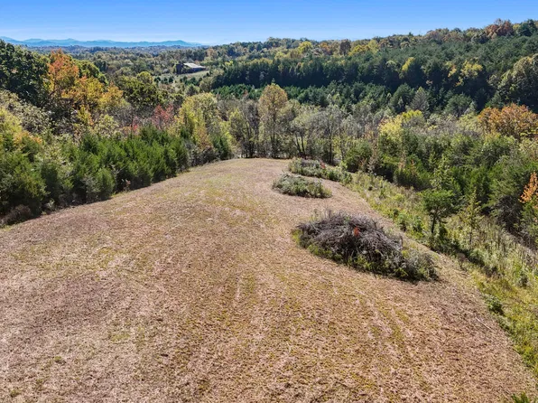 12 Dulaney Rd, Mosheim, TN 37818